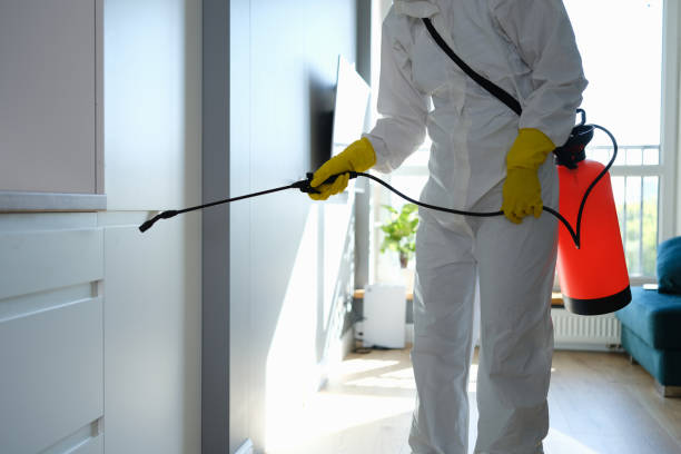 Home Mold Removal in Hunter, OH