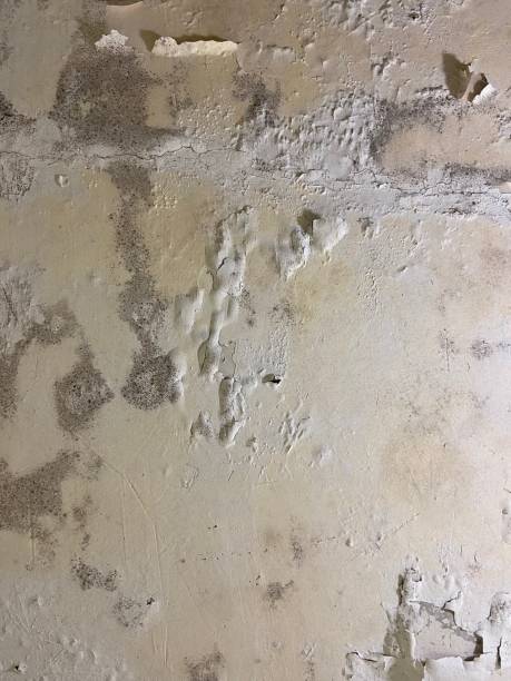 Best Residential Mold Removal  in Hunter, OH