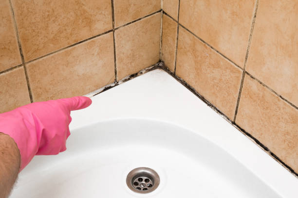 Best Certified Mold Removal  in Hunter, OH